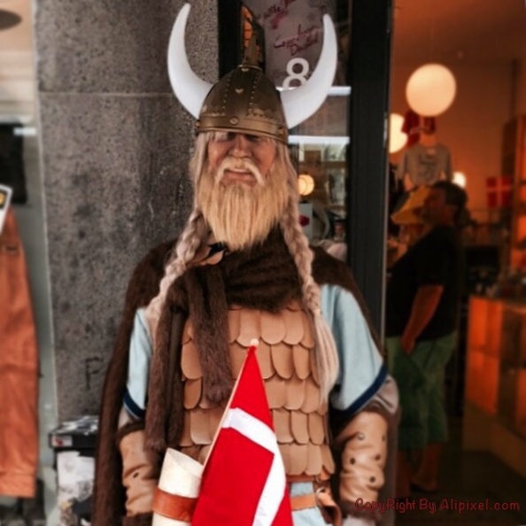 Viking - IMG_4487.JPG IMG_4487.JPG